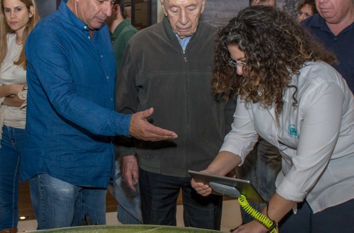 שמעון פרס