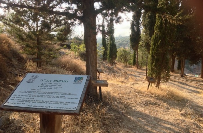 שביל ישראל
