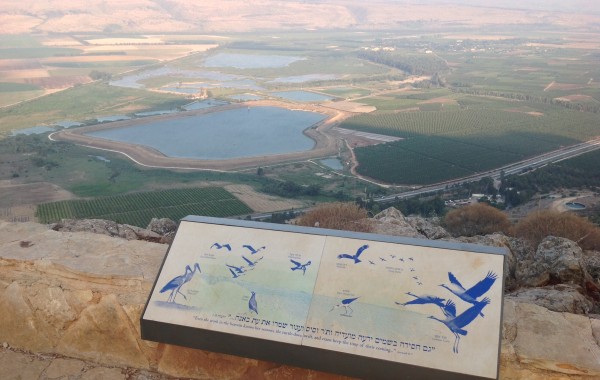 מצפה נפתלי